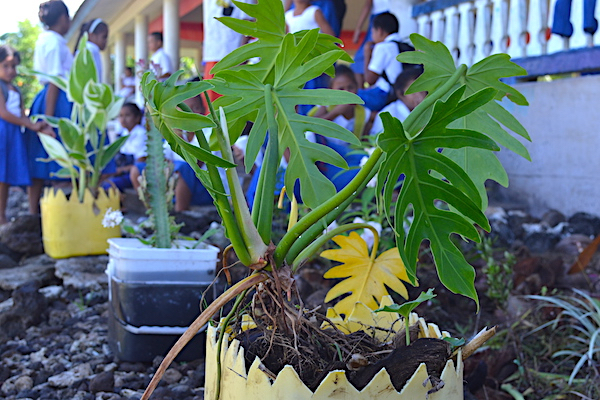 Greening of the Games