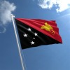 papua new guinea flag std